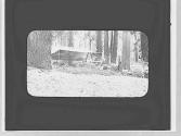 At camp, Yosemite Trip
