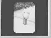 Woman with bundle
