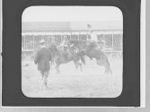 Rodeo rider, Wyoming Trip
