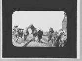 Group & horses on railroad tracks, Wyoming Trip