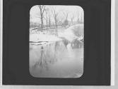 Snow scene