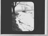 Snow scene