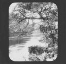 Moore's Bend, Gordon River