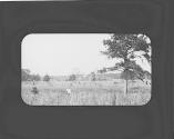 Field and houses, Oak Lodge Trip