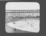 Bull and toreador in ring