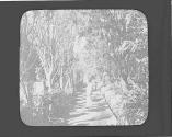 Man in garden