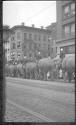 [Elephants in parade]