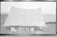 Pitched tent, African Safari