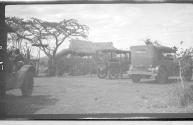 Stopped by the wayside, African Safari