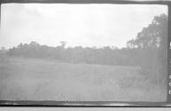 View of countryside, African Safari
