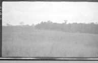 View of countryside, African Safari