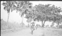 Train of porters, African Safari