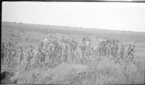 Group of Africans, African Safari