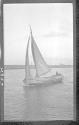 [Sailboat, Zaandam]
