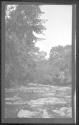 [Wooded landscape with stream]