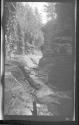 [View of glen]