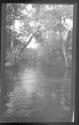 [River view]