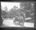 [Horse drawn carriage in park]