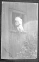 [Horse with head through barn window]