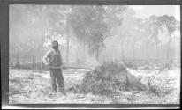 [Man clearing land]