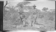 Natives posing with slain animals, African Safari