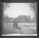 Horse carriage on city street-out of focus