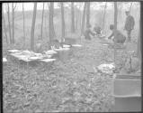 Friends having a cookout