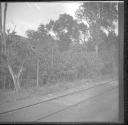 View from train-railroad tracks