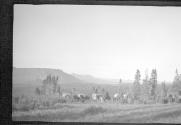 Packhorses, Alaska trip