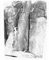 [Nude by large tree]