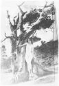 [The Heart of the Tree]