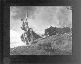 [Soul of the Blasted Pine]