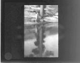 [The Limpid Pool]