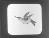 Ruby-Throated Humming Bird