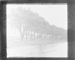 Foot of Seneca Lake Geneva