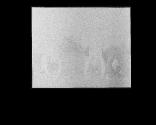[Untitled]