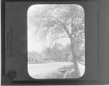 Duke of Gloucester St Williamsburg, VA. Showing entrance to William & Mary.