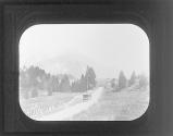 Scene in the Bernese Oberland