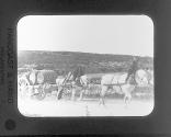 Transporting wine, between Zuissac & Nimes, France