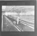 Cotton Spinning Factory