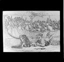 Bear-Baiting