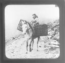 An Achill Horsewoman