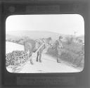 Life Bringing Home the Turf in a Slide Car Co. Antrim