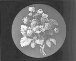 Strawberry, Flowers and Fruit.
