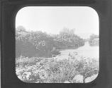 River Jordan From Nature