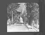 Swiss. Lake Brienz Giessbach Falls