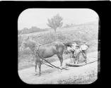 Sleighing in Summer Catskill Mts.