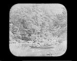 Wissahickon.