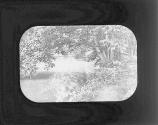 Chester Creek, Wawa S. '963. 6/29/96. 16 1/4. 5, 16.3' Cloudy.