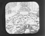 [Florida pavilion, fruit display]